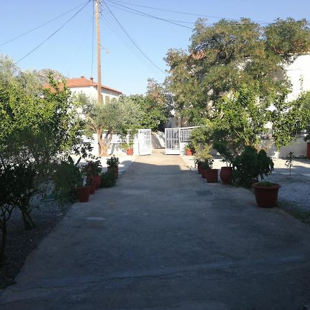 Appartamento Sunny Cozy House With Grand Courtyard Leonídion Esterno foto