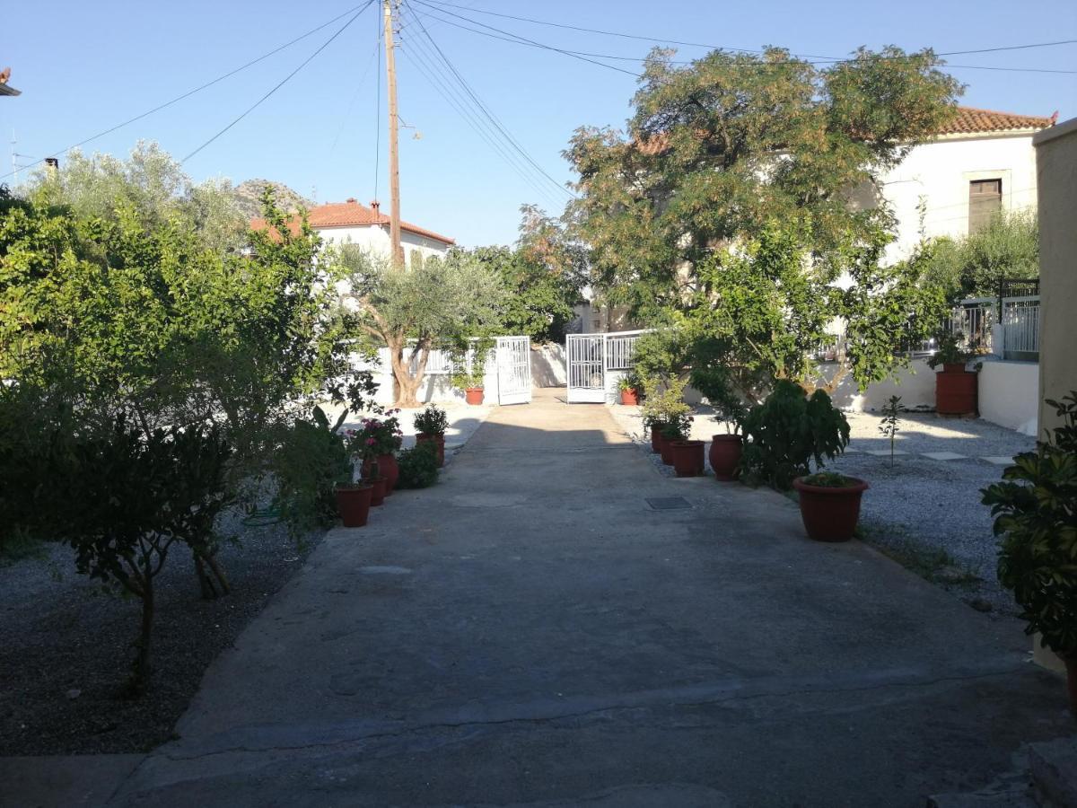 Appartamento Sunny Cozy House With Grand Courtyard Leonídion Esterno foto